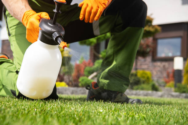 Pest Prevention Services in Pace, FL