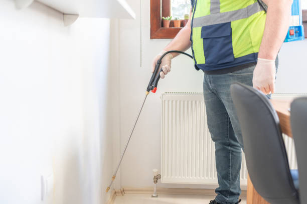 Trusted Pace, FL Pest Control Experts