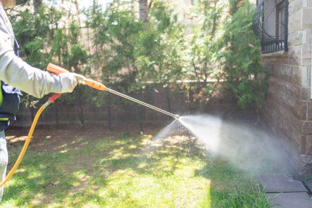 Best Best Pest Control Companies  in Pace, FL