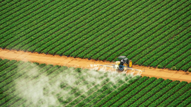 Best Commercial Pest Control Services  in Pace, FL
