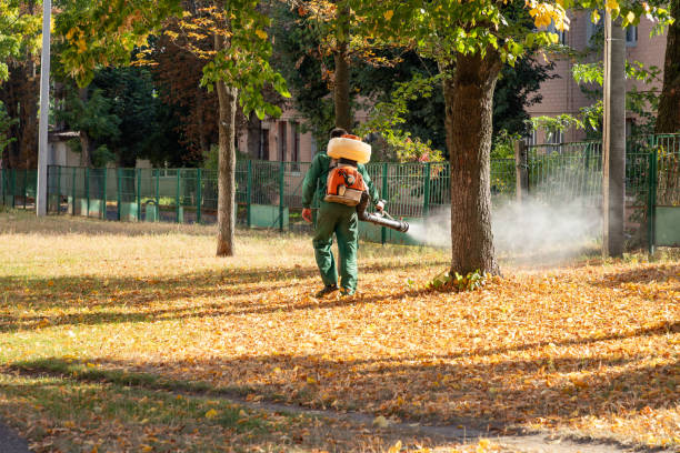 Best Best Pest Control Companies  in Pace, FL