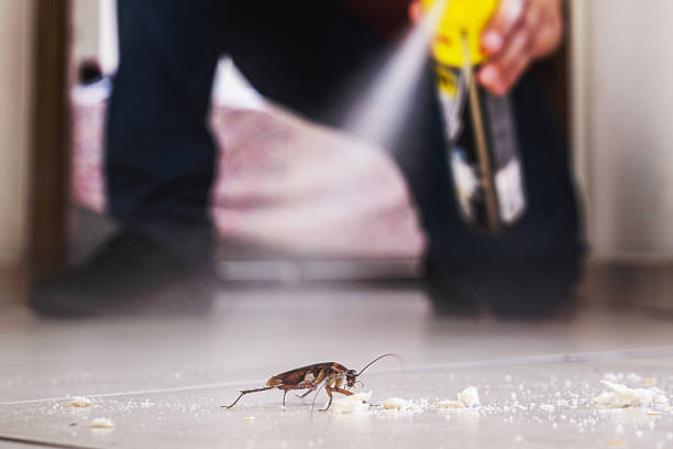 Best Pest Control for Businesses  in Pace, FL