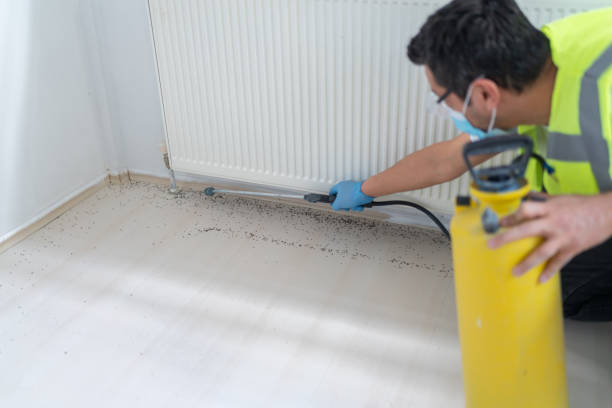 Pest Control for Restaurants in Pace, FL